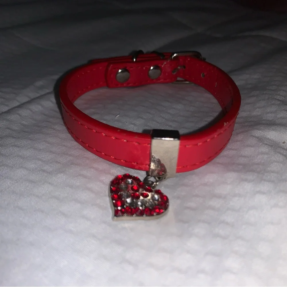 Red cat collar